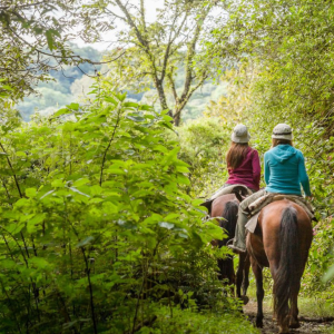 Cabalgata Cachi y alrededores