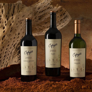 Bodega Piattelli
