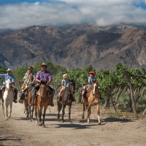 Cabalgata Cafayate entre Viñedos