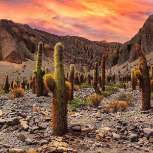 Parque Nacional Baritú