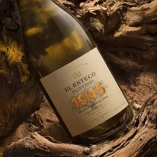 Vino Esteco Old Vines Torrontés
