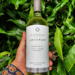 Vino Labprum Torrontés El porvenir