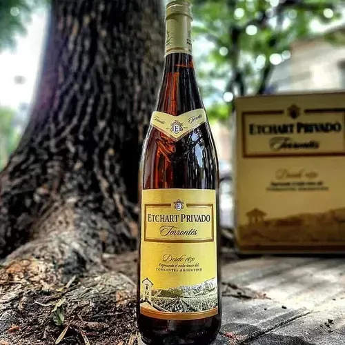 Vino Torrontés Etchart Privado