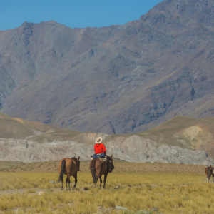 Modo cabalgata | Experiencia a caballo en Salta
