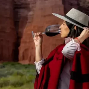 Vinos de altura - Cafayate-